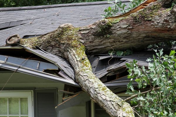 Storm Remediation in Ooltewah