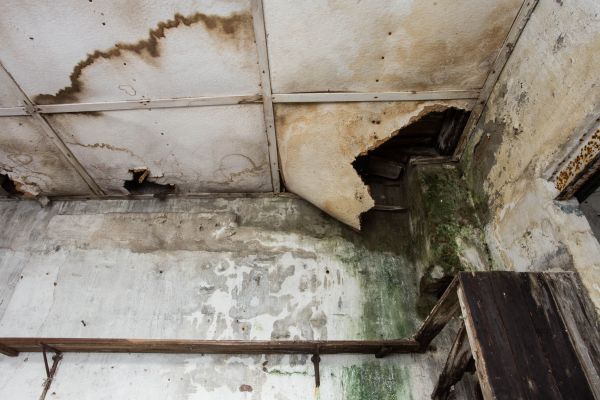 Water Damage Service in Ooltewah