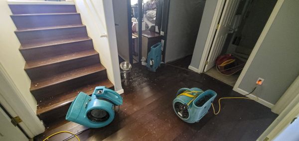 Water Damage Remediation in Ooltewah