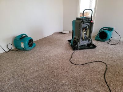 Wet Carpet Drying