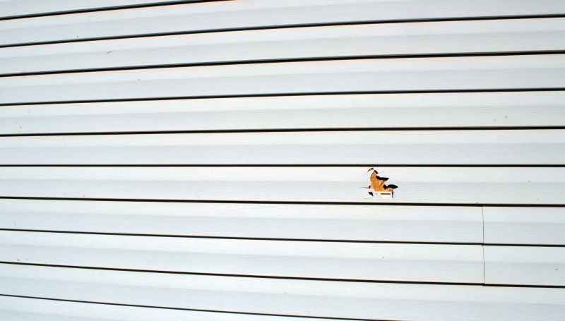 Siding Restoration Experts